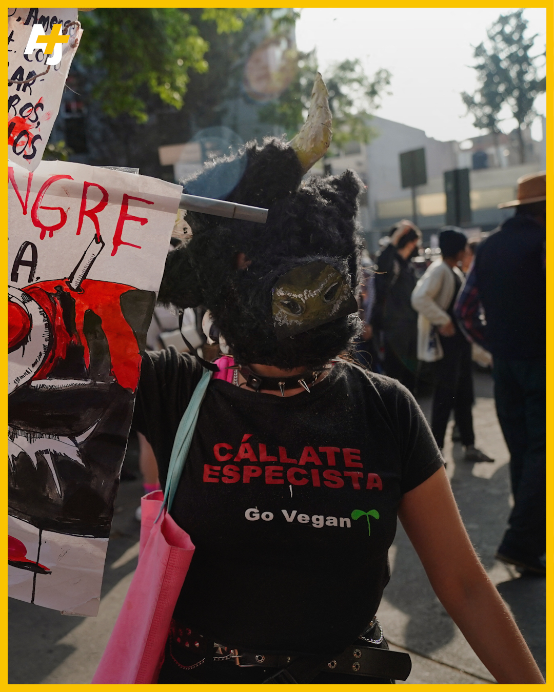 Con Manifestantes Afuera De Una Arena Abarrotada Las Corridas De Toros