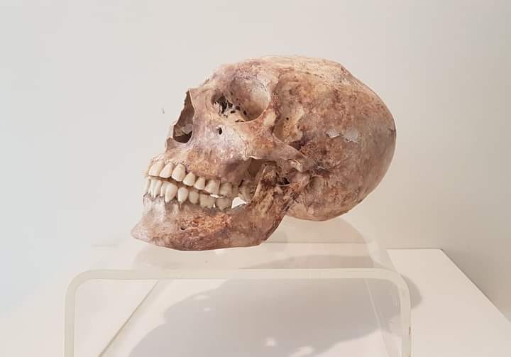 La belleza en la realeza maya