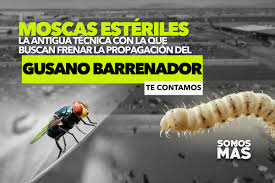 images (3)