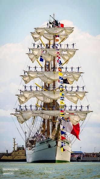 Postal de colección del Caballero de los Mares, Buque Escuela Cuauhtémoc