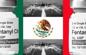 Verdad y mentira de la guerra contra las drogas