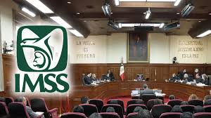 Con nueva resolucion de SCJN , pueden recibir la pensión personas sin parentesco directo ,¿Quién puede heredar una pensión del IMSS?.