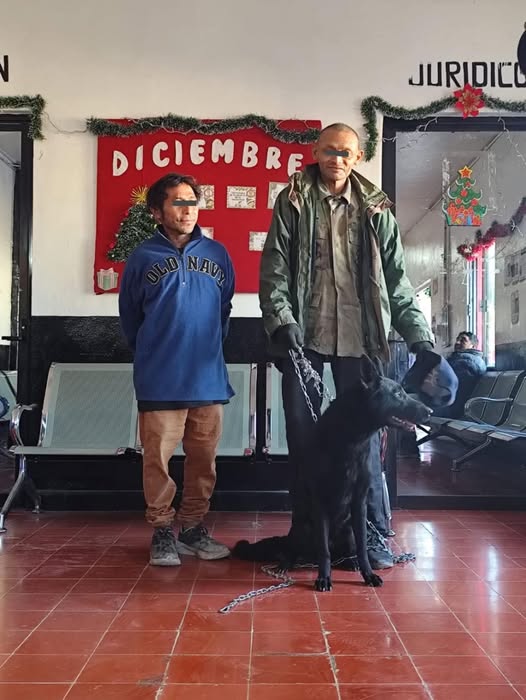 Secuestran a una perra para pedir rescate en Uman. Detenidos