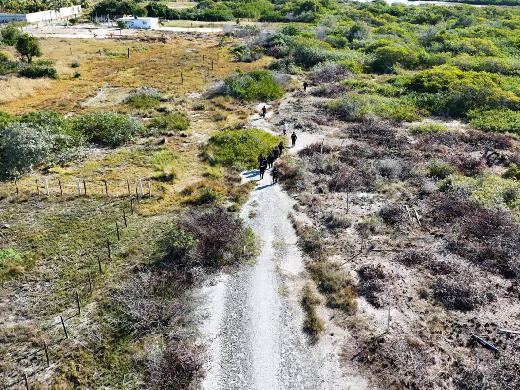 Autoridad Federal continua clausurando obras que arrasan manglares y humedales en la costa Yucateca