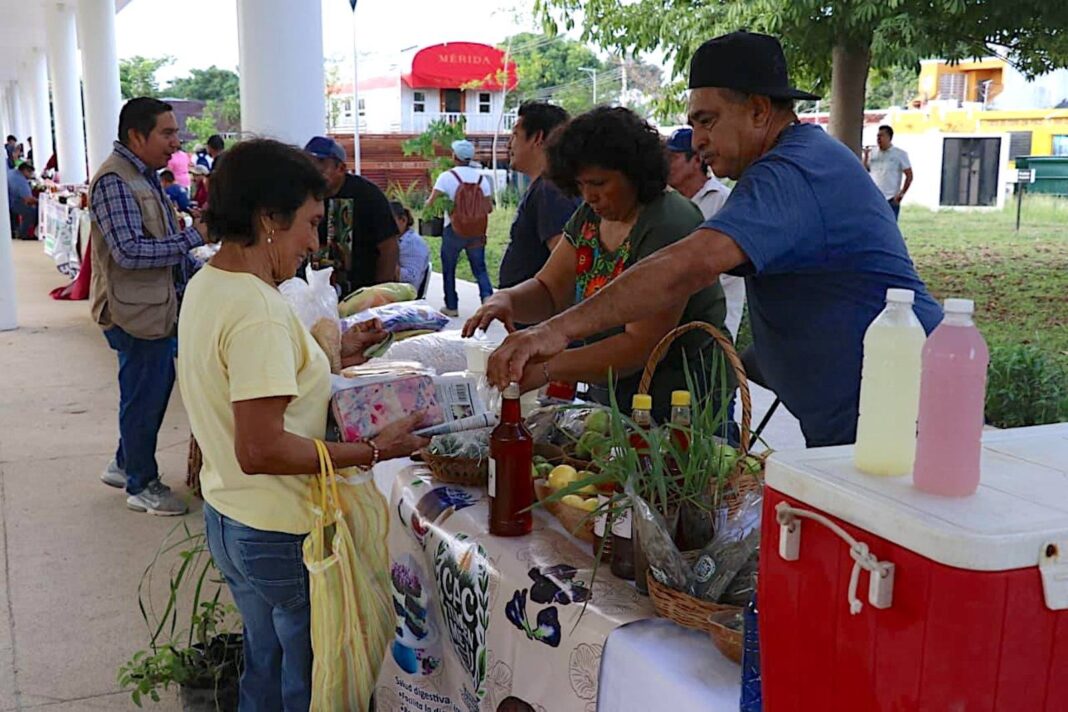 Regresa el Mercado Renacer del Campo Yucateco al Parque La Plancha