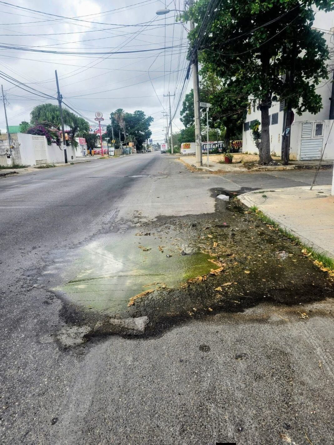 Tormento chino en las calles de la Mérida la que se nos fue…