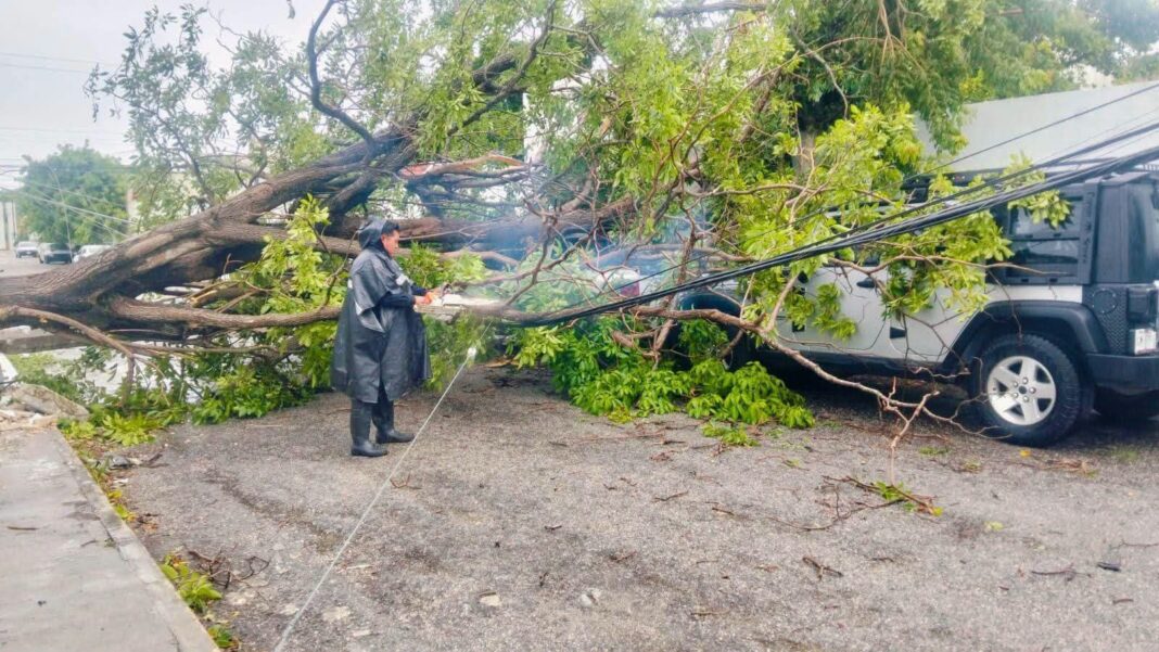 Registra Yucatan su primera tormenta tropical extrema que en 25 minutos causó graves daños Registra Yucatan su primera tormenta tropical extrema que en 25 minutos causó graves daños