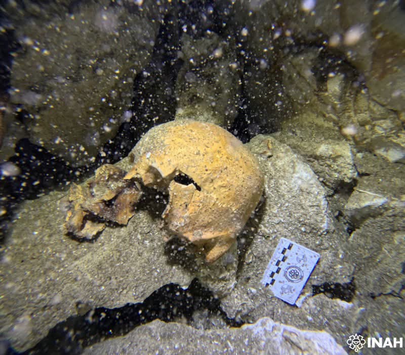 Cenote Yaakun, en Playa del Carmen, resguarda los restos de una posible mujer antigua: Yatzil Cenote Yaakun, en Playa del Carmen, resguarda los restos de una posible mujer antigua: Yatzil