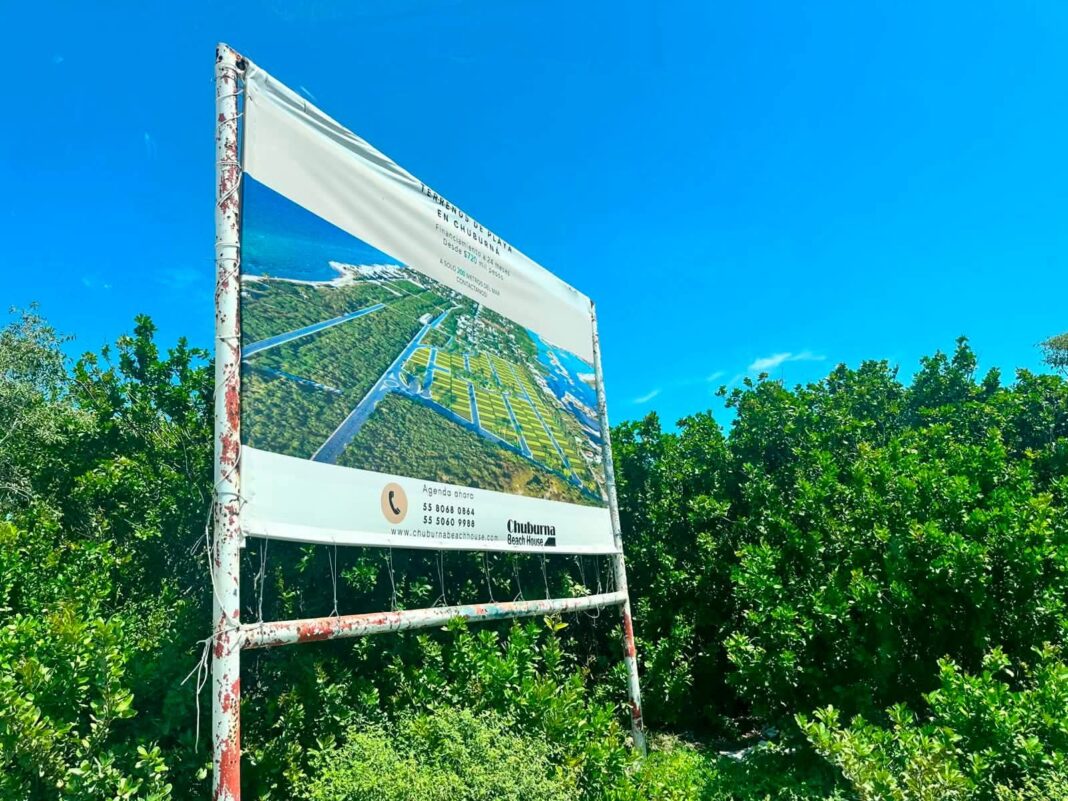 Dictámenes estatales obligan a proyecto «Las Dunas» a la conservación del manglar, humedal costero y duna costera en Chuburná Dictámenes estatales obligan a proyecto «Las Dunas» a la conservación del manglar, humedal costero y duna costera en Chuburná