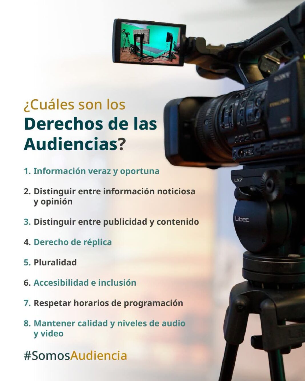¿Cuales son Los Derechos de Las Audiencias ? ¿Cuales son Los Derechos de Las Audiencias ?