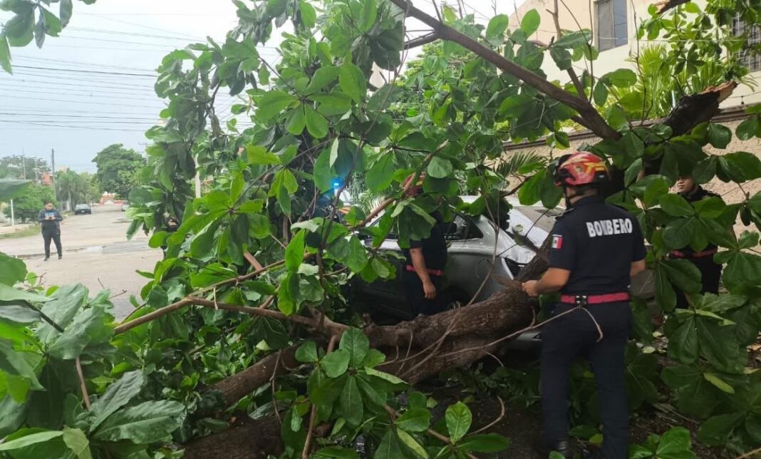 Fuertes lluvias generan más de un centenar de emergencias en Yucatán; SSP mantiene operativo de atención Fuertes lluvias generan más de un centenar de emergencias en Yucatán; SSP mantiene operativo de atención