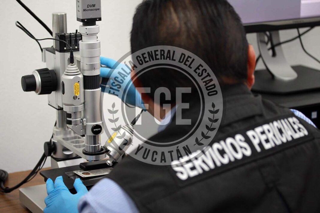 Imputan a hombre por presunta violencia familiar y violencia vicaria en Mérida Imputan a hombre por presunta violencia familiar y violencia vicaria en Mérida