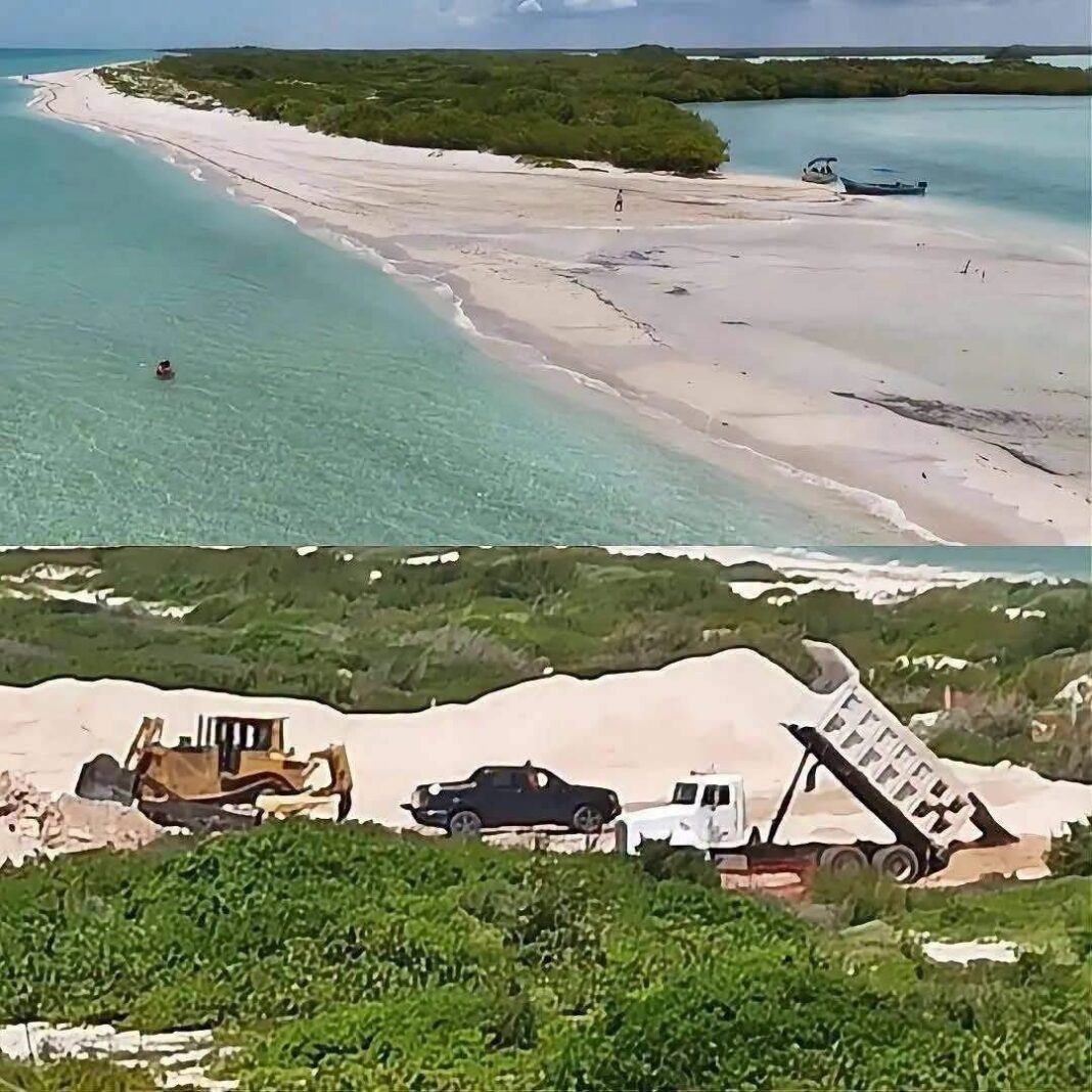 Alertan por posible impacto ambiental en las dunas costeras de Chuburná ante obras inmobiliarias Alertan por posible impacto ambiental en las dunas costeras de Chuburná ante obras inmobiliarias