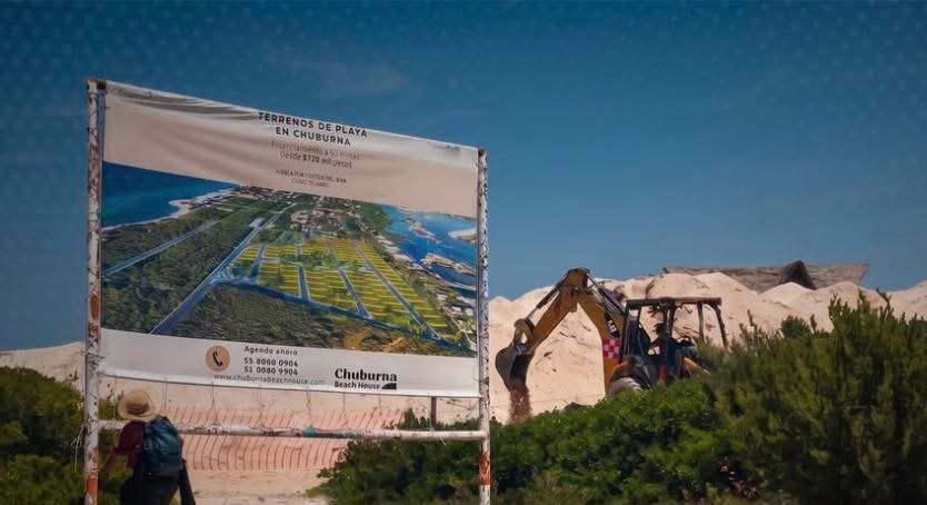 Ambientalistas solicitan revisar desarrollo en Chuburná Puerto por presunto impacto ecológico Ambientalistas solicitan revisar desarrollo en Chuburná Puerto por presunto impacto ecológico