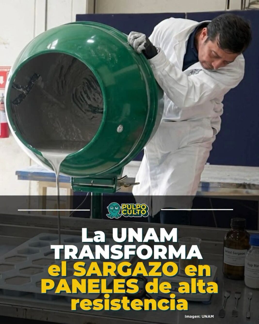 La UNAM transforma el sargazo en paneles de construccion de alta resistencia La UNAM transforma el sargazo en paneles de construccion de alta resistencia