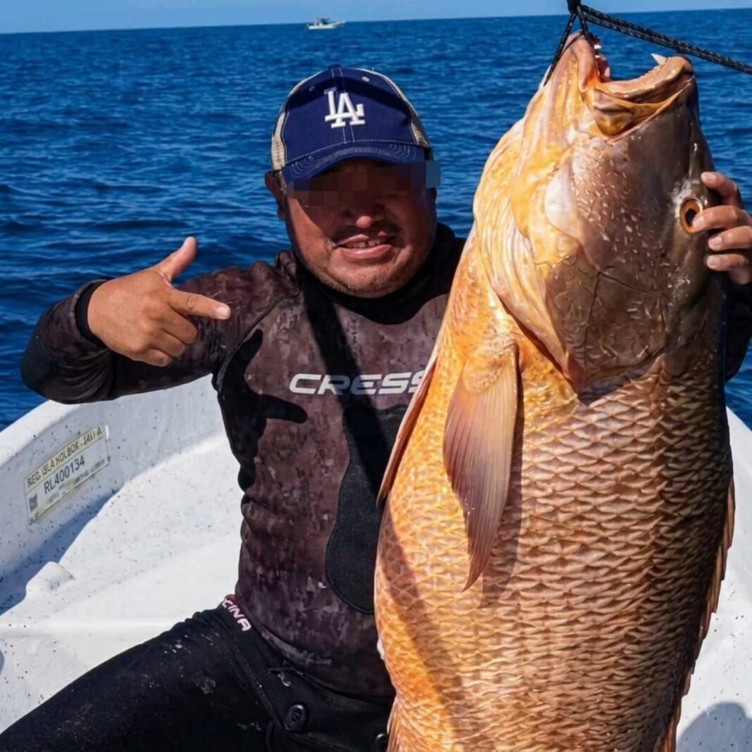 Segundo buzo pierde la vida durante la temporada de pulpo y langosta en Yucatán Segundo buzo pierde la vida durante la temporada de pulpo y langosta en Yucatán