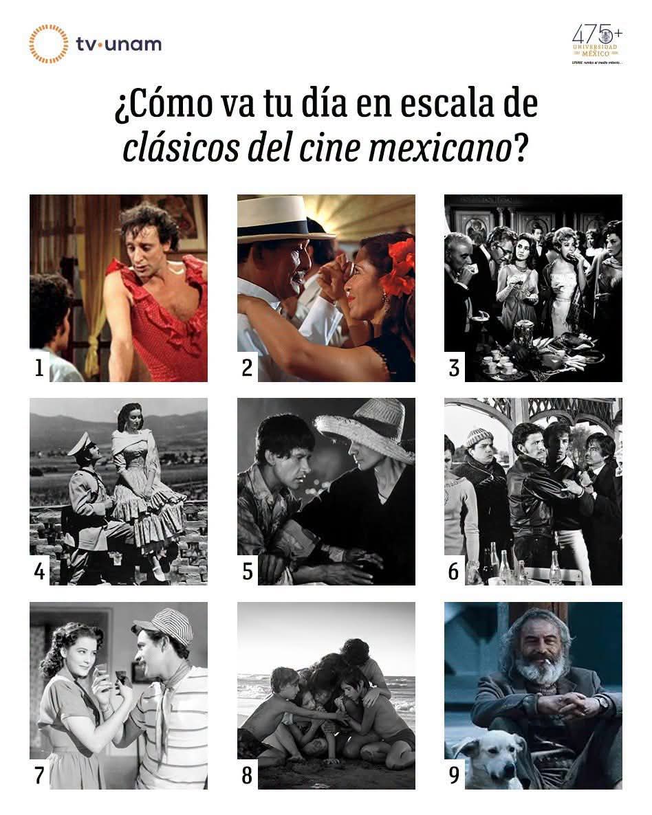 Hoy celebramos el orgullo de nuestras historias! Hoy celebramos el orgullo de nuestras historias!