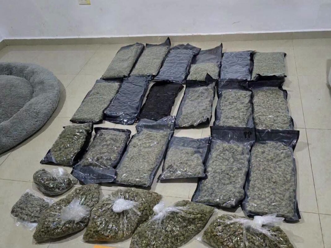 Aseguran más de 400 kg de marihuana en #Conkal Aseguran más de 400 kg de marihuana en #Conkal