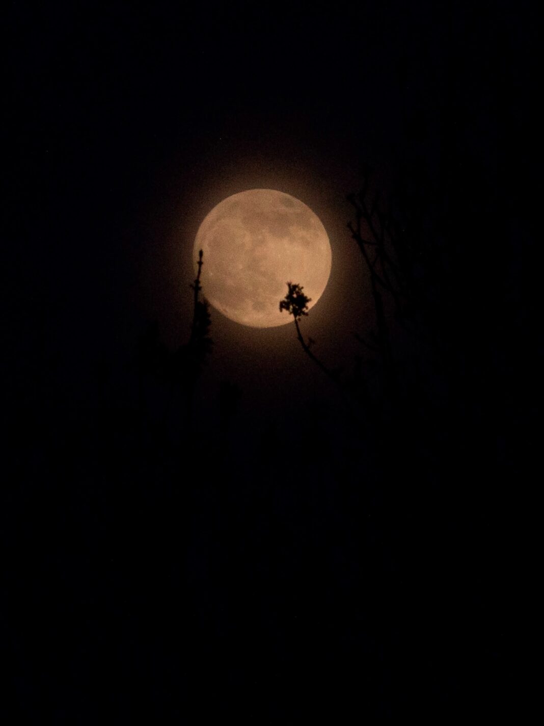 «Luna de Sangre» este jueves 27 «Luna de Sangre» este jueves 27