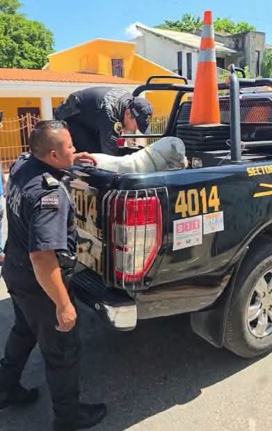 Aseguran a canes tras feroz ataque a senecta en la colonia Bojórquez Aseguran a canes tras feroz ataque a senecta en la colonia Bojórquez