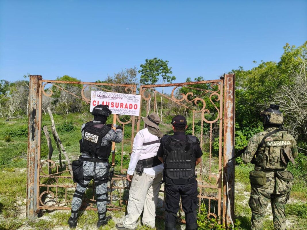 Profepa clausura 17 polígonos de lotes en 130.8 hectareas de la Reserva de la Biosfera Ría Celestún Profepa clausura 17 polígonos de lotes en 130.8 hectareas de la Reserva de la Biosfera Ría Celestún