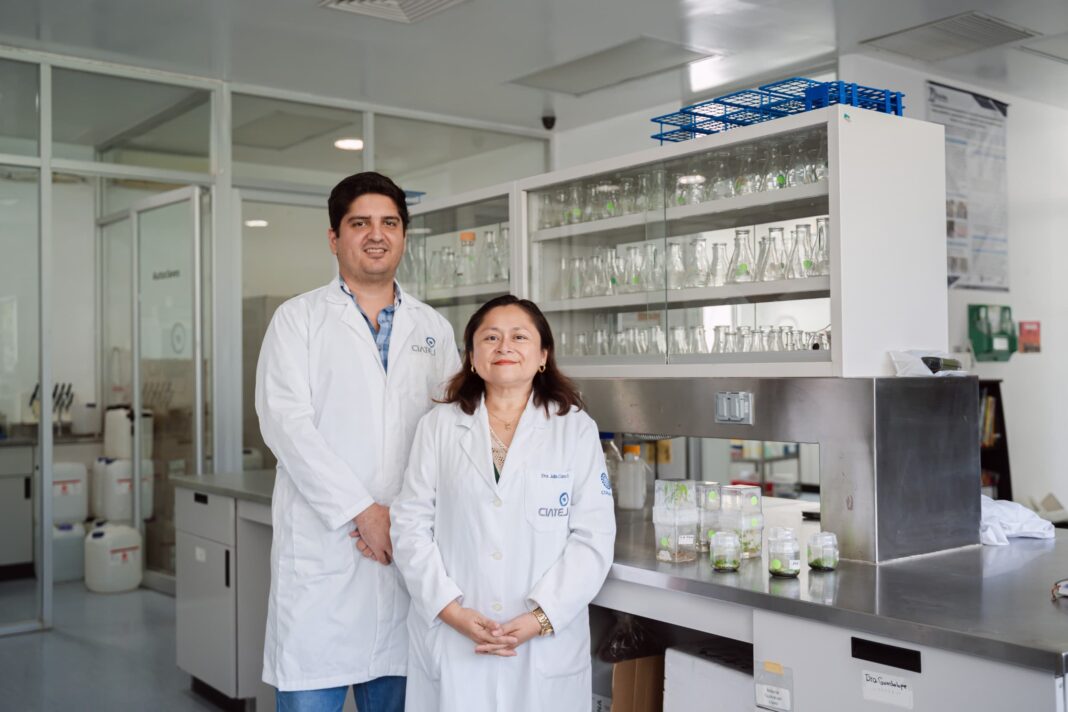 Especialistas internacio nales en biotecnología se reunirán en Yucatán Especialistas internacio nales en biotecnología se reunirán en Yucatán