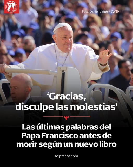 «Gracias,disculpe las molestias».Las ultimas palabras «Gracias,disculpe las molestias».Las ultimas palabras
