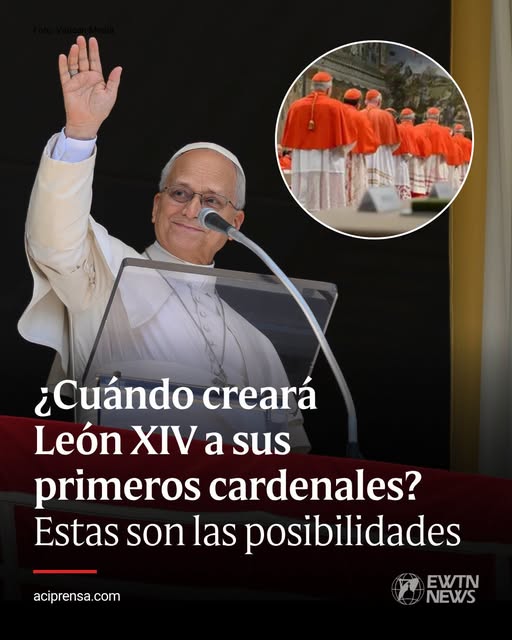 ¿Cuando creara el Papa Leon XIV a sus primeros cardenales?. Estas son las posibilidades ¿Cuando creara el Papa Leon XIV a sus primeros cardenales?. Estas son las posibilidades