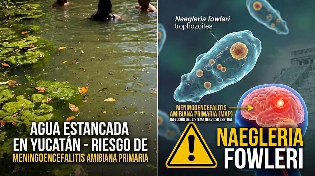 Enseñanza de una tragedia: Seguridad en cuerpos de agua artificiales y el peligro latente en el acuífero de Yucatán Enseñanza de una tragedia: Seguridad en cuerpos de agua artificiales y el peligro latente en el acuífero de Yucatán