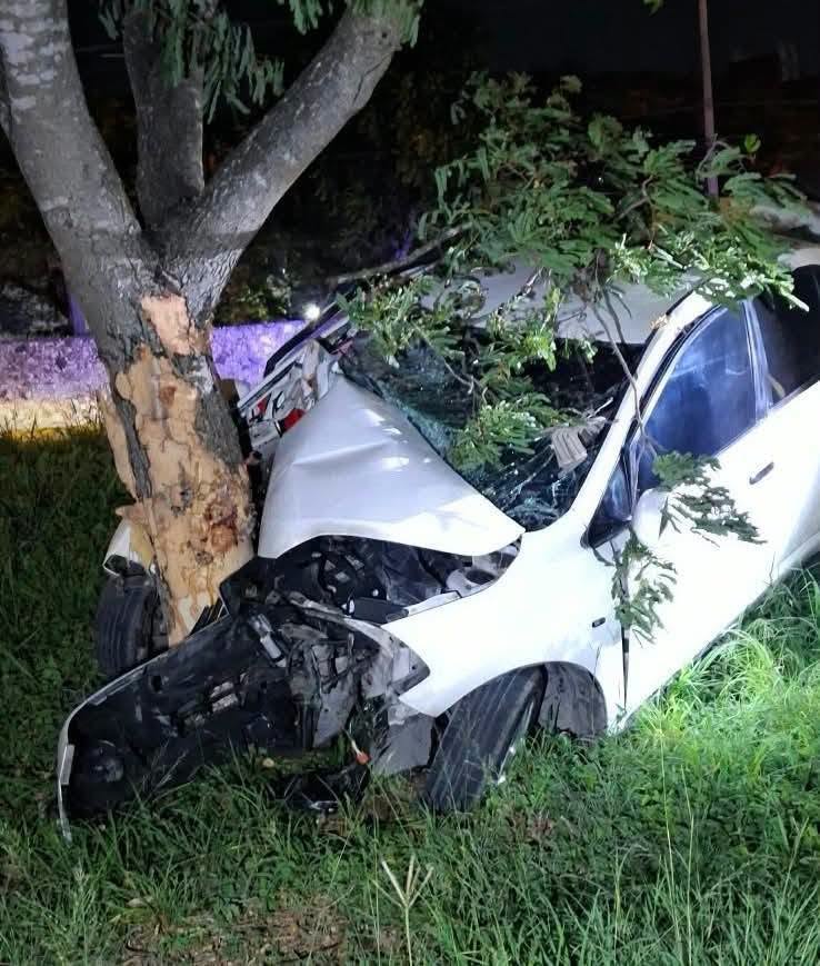 Conductor fallece al estrellarse su vehiculo en periferico Conductor fallece al estrellarse su vehiculo en periferico