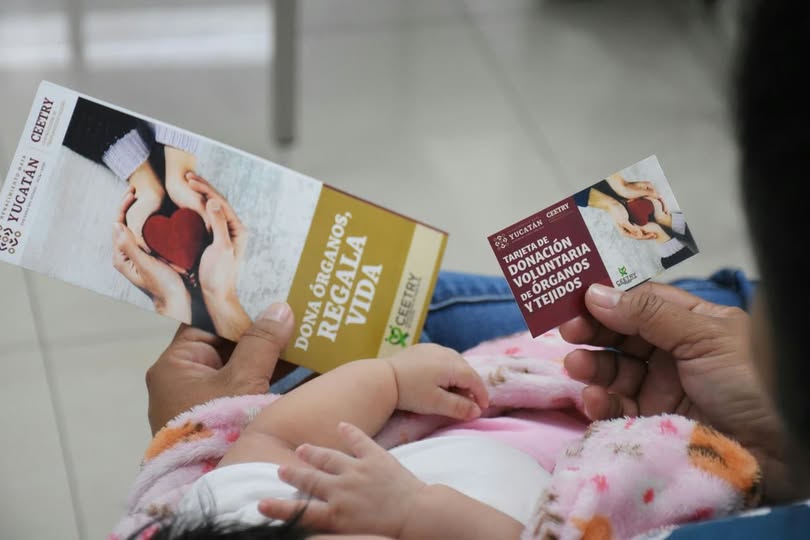 Yucatan sobresale en publicaciones cientificas con resultados clínicos, quirúrgicos y educativos en trasplantes, pediatría, cirugía, infectología y nefrología. Yucatan sobresale en publicaciones cientificas con resultados clínicos, quirúrgicos y educativos en trasplantes, pediatría, cirugía, infectología y nefrología.