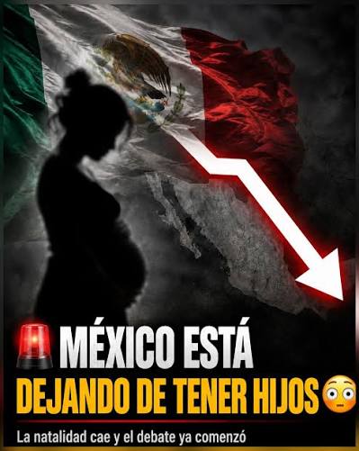 Sheinbaum pide a Inegi y a la Agencia de Transformación Digital hacer estudio sobre la baja natalidad en México Sheinbaum pide a Inegi y a la Agencia de Transformación Digital hacer estudio sobre la baja natalidad en México