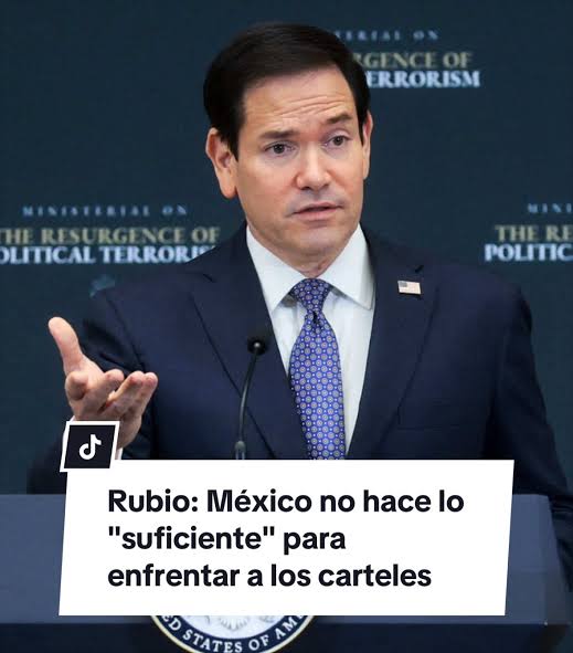 «México no hace lo ‘suficiente’ para enfrentar a los cárteles», dice Rubio desde Ecuador «México no hace lo ‘suficiente’ para enfrentar a los cárteles», dice Rubio desde Ecuador