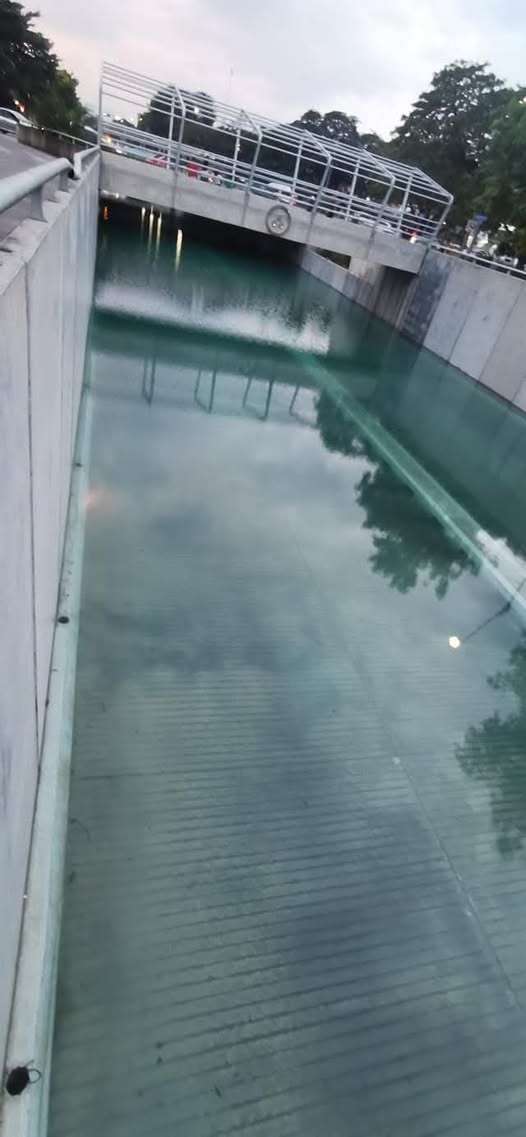 ¿Lluvia atípica… o memoria de corto plazo? .El caso de Merida ¿Lluvia atípica… o memoria de corto plazo? .El caso de Merida