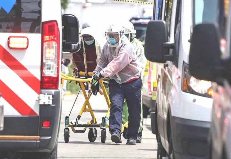 Mujer muere tras ser atacada por un enjambre de abejas en fraccionamiento Brisas Mujer muere tras ser atacada por un enjambre de abejas en fraccionamiento Brisas
