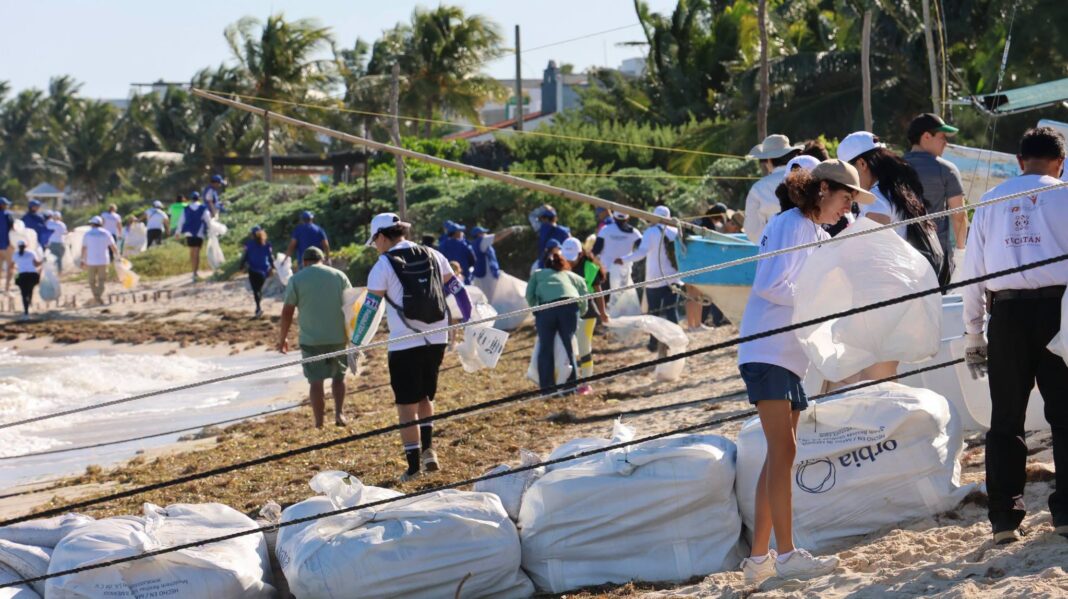 Frenan contaminación costera en Chicxulub Puerto con recolección de más de 300 kg de basura Frenan contaminación costera en Chicxulub Puerto con recolección de más de 300 kg de basura