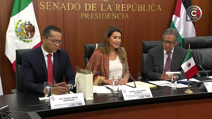 Embajadora de Palestina pide a México revisar empresas vinculadas a asentamientos israelíes Embajadora de Palestina pide a México revisar empresas vinculadas a asentamientos israelíes